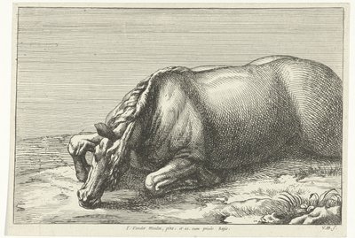 Cavallo ucciso visto dal lato sinistro da Jan van Huchtenburgh